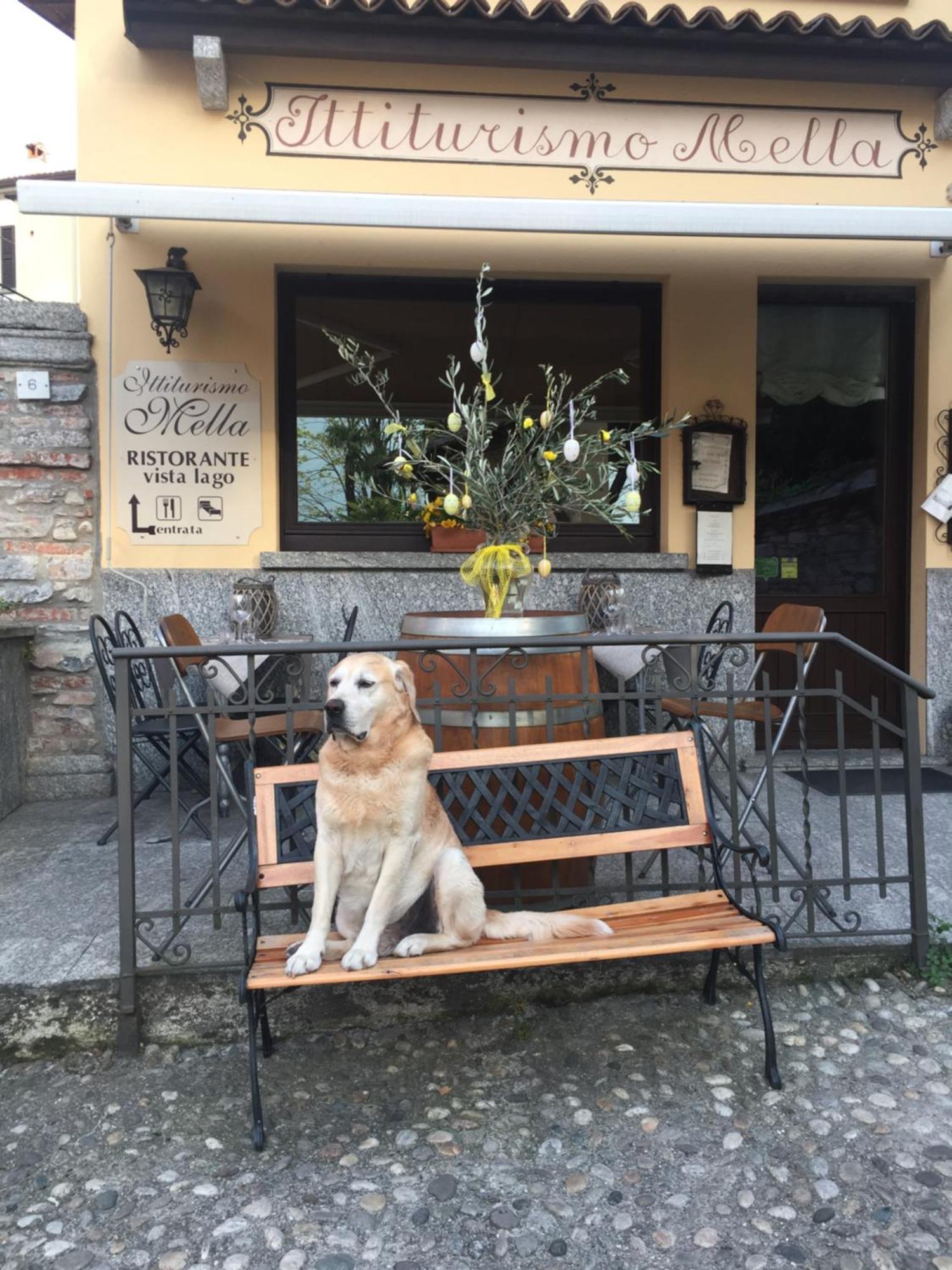 Mella Bellagio -La Corte - At The Lake With Parking Luaran gambar